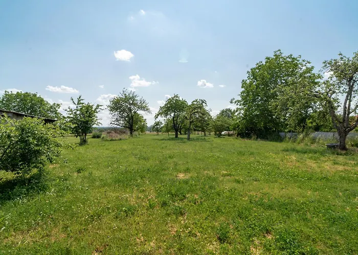 Luxe Et Design A La Campagne Danne-et-Quatre-Vents